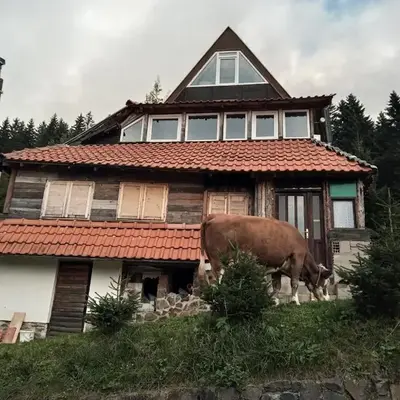 KOPANIKSkiRooms
