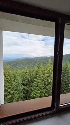 a window with a view of a forest of trees at The Pine Loft by Kopaonik in Kopaonik