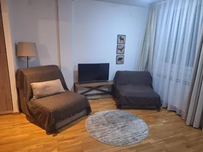 a living room with a chair and a television at Zimski san in Brzeće