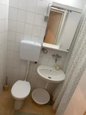 a small bathroom with a toilet and a sink at Apartman Javor in Vrnjačka Banja