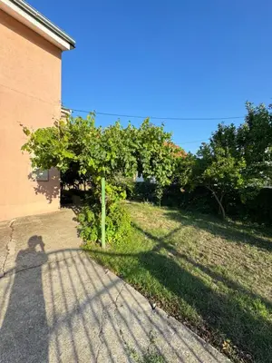 a tree in the grass next to a building at Airport, Belgrade, 1 bedroom, 1 living room in Bukorovac