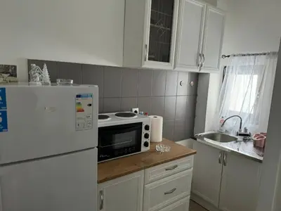 a kitchen with a white refrigerator and a sink at Apartman Ivana Kopaonik in Kopaonik