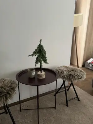 a table with a small tree on it next to two chairs at Apartman Ivana Kopaonik in Kopaonik