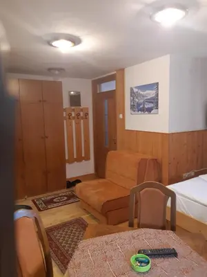 a living room with a bed and a couch at Vila Paraglajder in Kopaonik