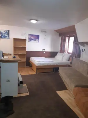 a living room with a bed and a couch at Vila Paraglajder in Kopaonik
