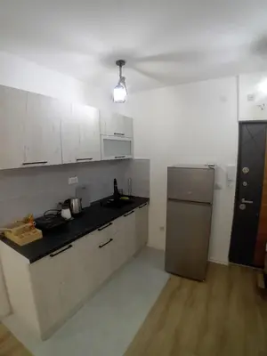 a kitchen with white cabinets and a sink and a refrigerator at Stan na dan Bor in Bor