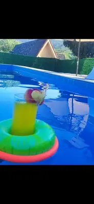 a pool with a green and red toy in the water at Bazen Jelasnica 1 in Niš