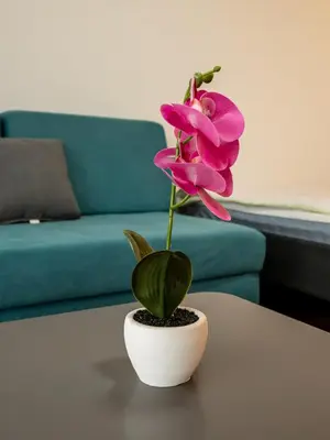 a pink flower in a white vase on a table at Delta residence in Niš
