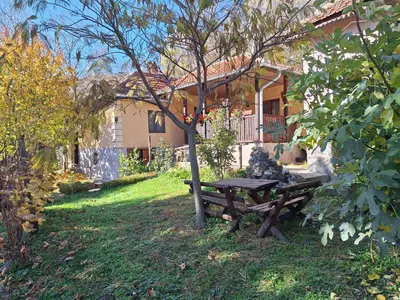 a picnic table under a tree in front of a house at Domaćinstvo Drenak - Bešnjaja in Kragujevac