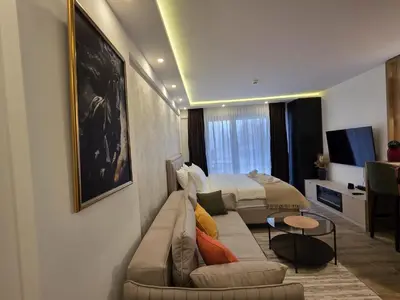a living room with a couch and a bed at Lyra Prestige Residence Hill in Kopaonik
