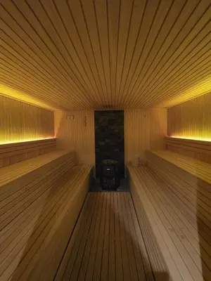 an empty sauna with a stove in the middle at Lyra Prestige Residence Hill in Kopaonik