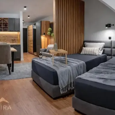 Apartman Stagira - Bela Reka Gondola