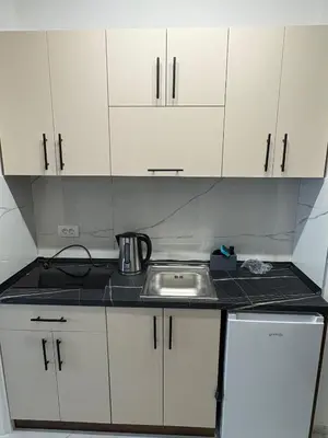 a small kitchen with a sink and white cabinets at Nik 2 in Kruševac