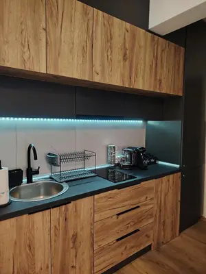 a kitchen with a sink and a counter top at Lux Veritas- besplatan parking-100 metara od Vinarije Grabak in Vrnjačka Banja