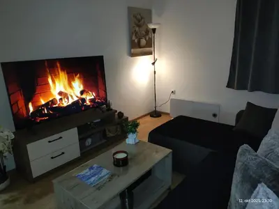 a living room with a fire in the fireplace at Apartman Novak in Trnava