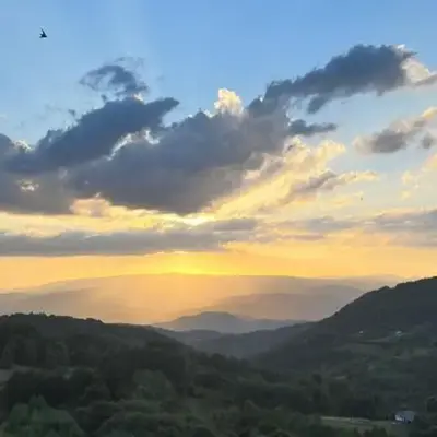Pahuljica - N25 Milmari