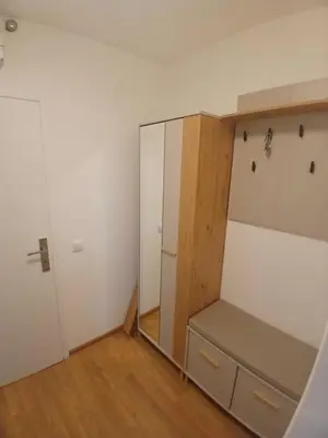 a bedroom with a mirror and a closet at Bela reka Gondola Studio in Brzeće
