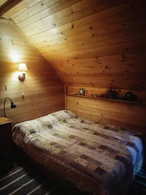 a bedroom with a bed in a wooden cabin at Mountain home Borut in Kopaonik