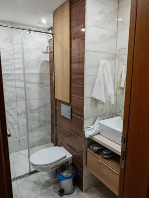 a bathroom with a toilet and a sink and a shower at Apartman Harmonija in Kopaonik