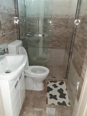 a bathroom with a shower and a toilet and a sink at Apartman studio BMB 1 in Bukorovac