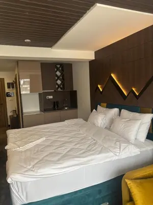 a bedroom with a large white bed with a wooden headboard at Apartman u hotelu Harmonija Palace Kopaonik in Kopaonik
