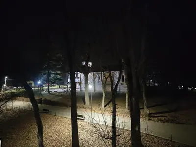 a park at night with trees and a bench at D&D Apartment in Vrnjačka Banja