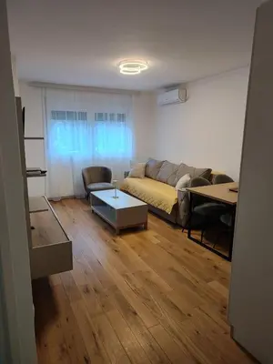 a living room with a couch and a table at D&D Apartment in Vrnjačka Banja