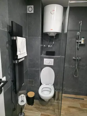a small bathroom with a toilet and a shower at Pilot peak in Kopaonik