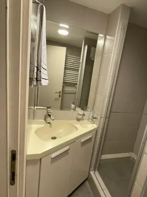 a bathroom with a sink and a shower at Apartment Brvenik Plus in Kopaonik