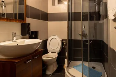 a bathroom with a toilet and a sink and a shower at Guest House Vila Salute in Niš
