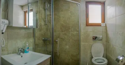 a bathroom with a shower and a toilet and a sink at Apartment Petrović in Kopaonik