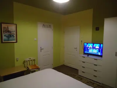 a bedroom with a bed and a flat screen tv at Apartments Villa Svetlana in Vrnjačka Banja