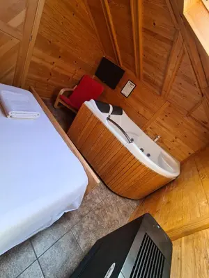 an overhead view of a room with a bed and a tub at Garni Hotel & Spa Nicolo in Kruševac