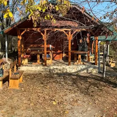 Vasića grozd