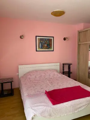 a bedroom with pink walls and a bed with a red blanket at Guest House Trajkovic Jagodina in Jagodina