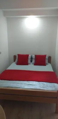 a bed with two red pillows in a room at Apartman 4 - Studio Janja in Soko Banja