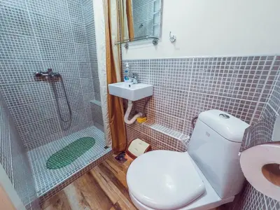 a bathroom with a toilet and a shower and a sink at Filip Apartments in Soko Banja
