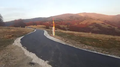 an empty road in the middle of a field at Holiday Home Floris in Kopaonik