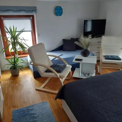 Apartments Bikica