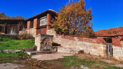 an old brick building with a tree in front of it at Vila Milenovic Rajacke Pivnice in Rajac