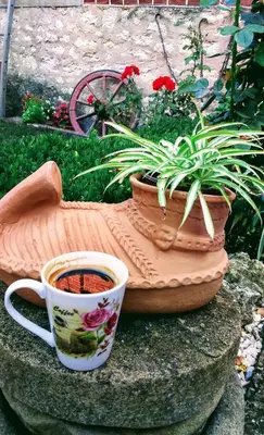 a cup of coffee sitting next to a potted plant at Vila Milenovic Rajacke Pivnice in Rajac