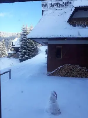 a snow covered roof of a house with snow on it at Holiday Home Elena in Kopaonik