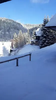 a snow covered yard with houses and trees at Holiday Home Elena in Kopaonik
