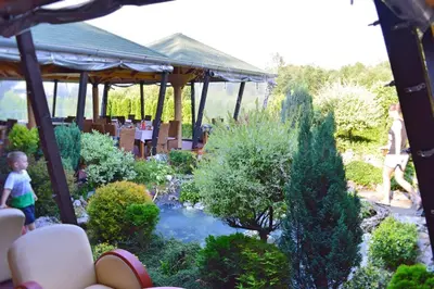 a garden with a pond and a gazebo at Guest House Vila Horizont in Goč