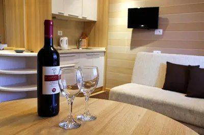Gallery image of Apartment Suncani Vrhovi in Kopaonik