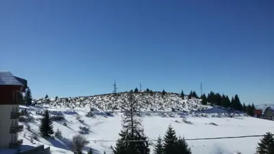 a snow covered hill with trees on top of it at Vila Čajetinski biser-Apartment Classic in Kopaonik