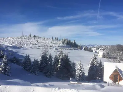 a snow covered mountain with trees and a house at Vila Čajetinski biser-Apartment Classic in Kopaonik