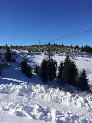 a snow covered slope with trees and a ski lift at Vila Čajetinski biser-Apartment Classic in Kopaonik
