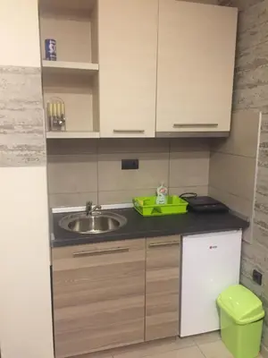 a small kitchen with wooden cabinets and a sink at Panorama apartments in Milmari Resort in Kopaonik