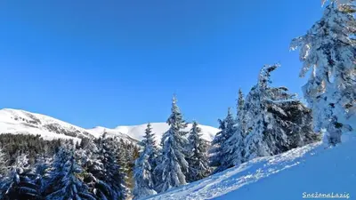 a snow covered mountain with snow covered trees at Stara Planina Vila Vesela kuca in Jalovik Izvor